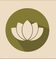 HOLISTIC MEDICINE