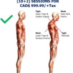 Photo shows Postural Differences